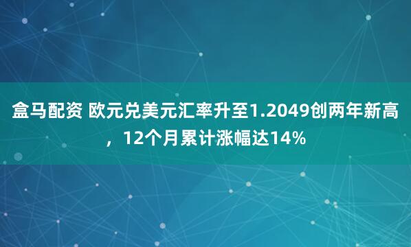 盒马配资 欧元兑美元汇率升至1.2049创两年新高，12个月累计涨幅达14%