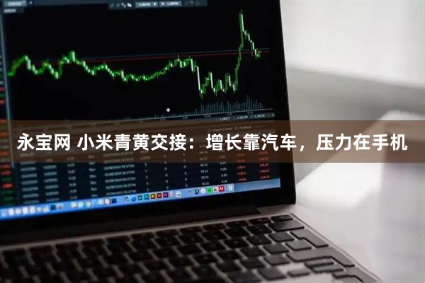 永宝网 小米青黄交接：增长靠汽车，压力在手机