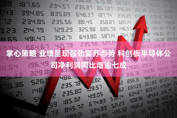 掌心策略 业绩呈现强劲复苏态势 科创板半导体公司净利润同比增逾七成