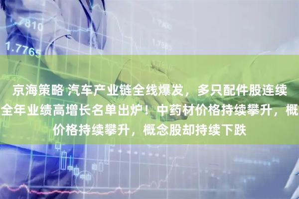 京海策略 汽车产业链全线爆发，多只配件股连续涨停，机构预测全年业绩高增长名单出炉！中药材价格持续攀升，概念股却持续下跌