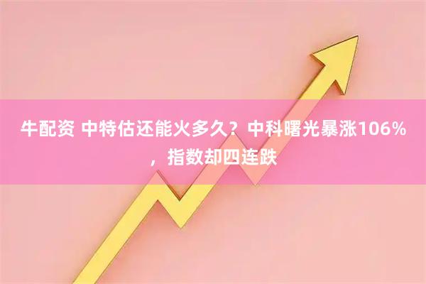 牛配资 中特估还能火多久？中科曙光暴涨106%，指数却四连跌