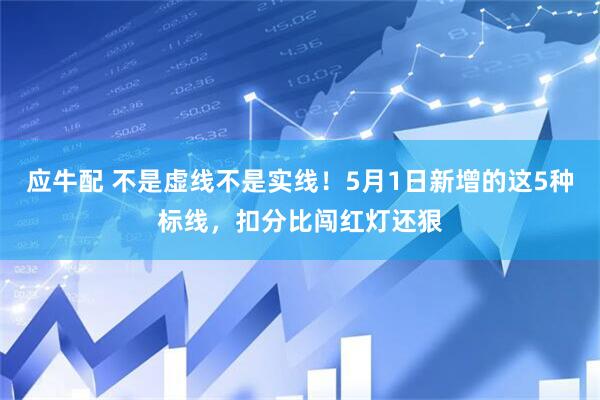 应牛配 不是虚线不是实线！5月1日新增的这5种标线，扣分比闯红灯还狠