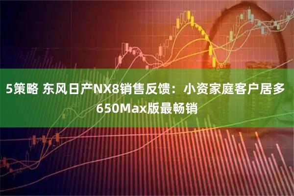 5策略 东风日产NX8销售反馈：小资家庭客户居多 650Max版最畅销