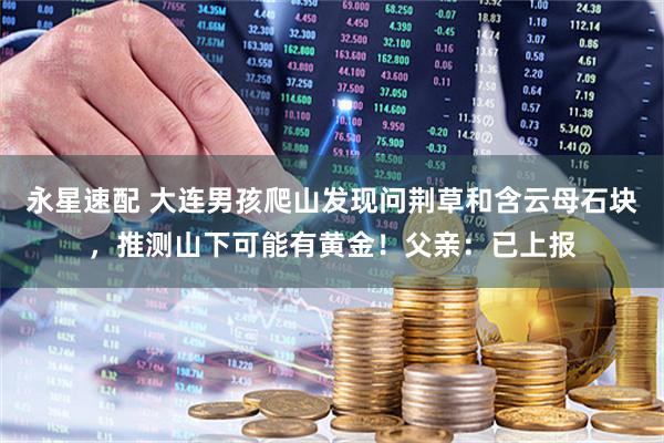 永星速配 大连男孩爬山发现问荆草和含云母石块，推测山下可能有黄金！父亲：已上报