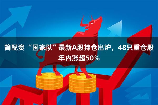 简配资 “国家队”最新A股持仓出炉，48只重仓股年内涨超50%