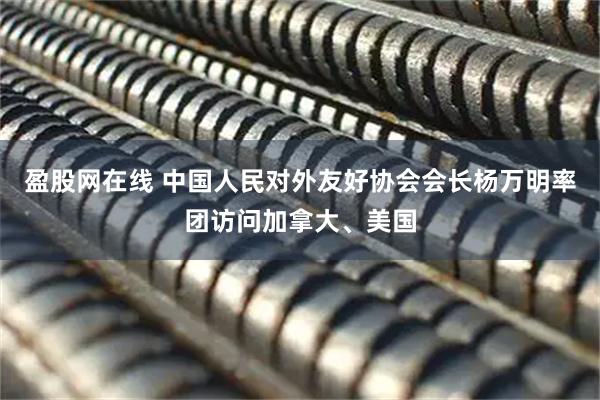 盈股网在线 中国人民对外友好协会会长杨万明率团访问加拿大、美国
