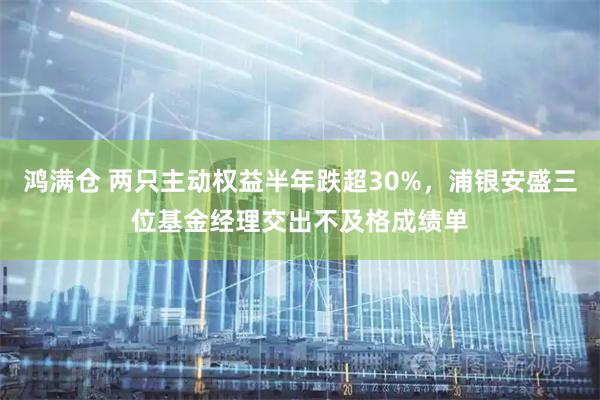 鸿满仓 两只主动权益半年跌超30%，浦银安盛三位基金经理交出不及格成绩单