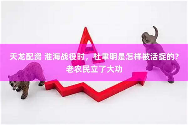 天龙配资 淮海战役时，杜聿明是怎样被活捉的？老农民立了大功